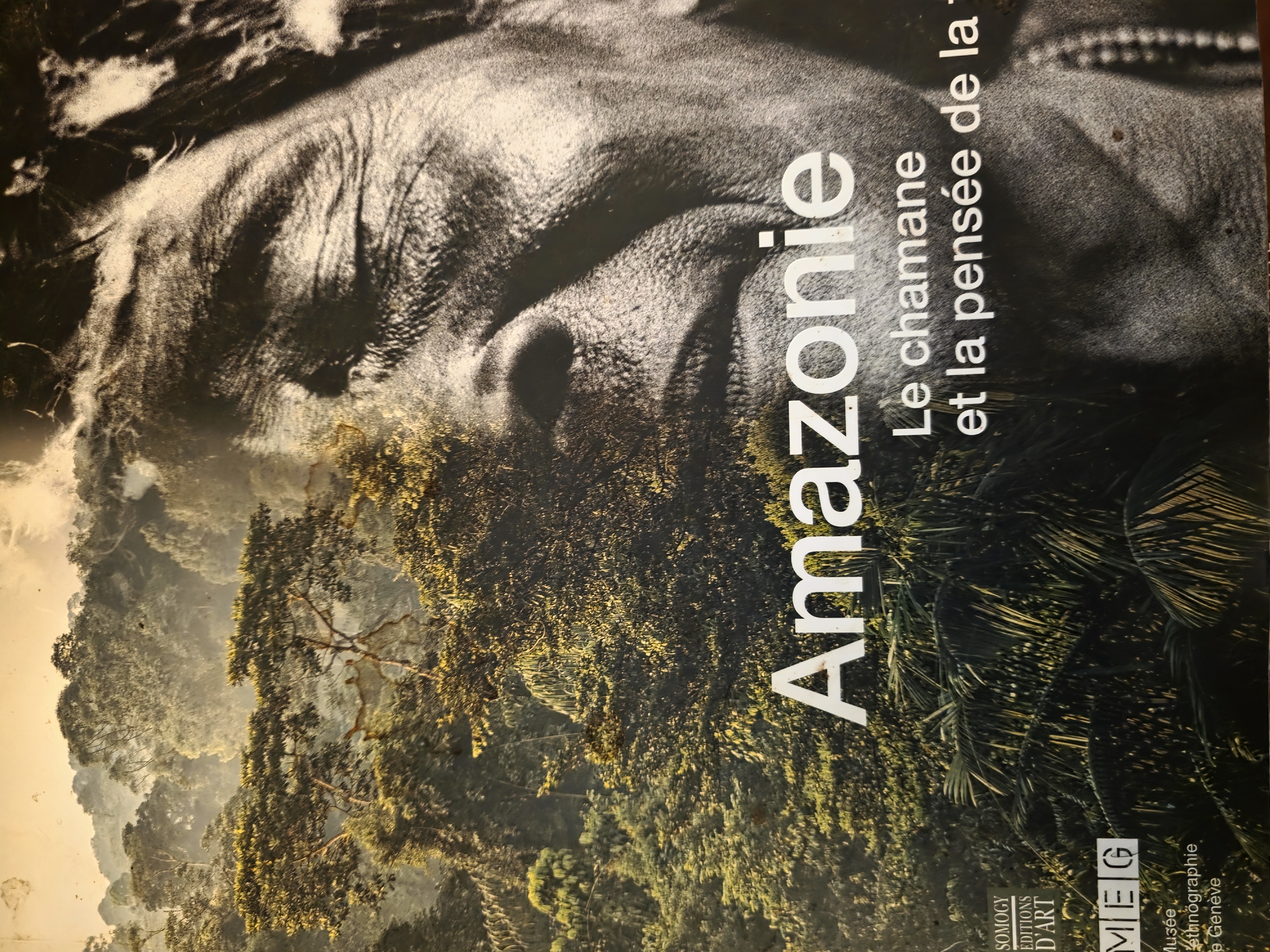 Couverture de Amazonie Le chamane et la pensée de la forêt
